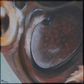 Augenblick eines Tausendfüßlers; Acryl auf Leinwand;
30 x 30 cm